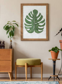 Kamerplanten trends anno 2025